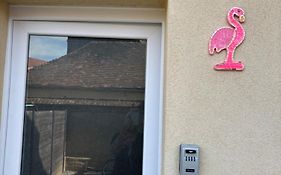 maison pink flamingo aeroport tillé 2 a 4 personnes